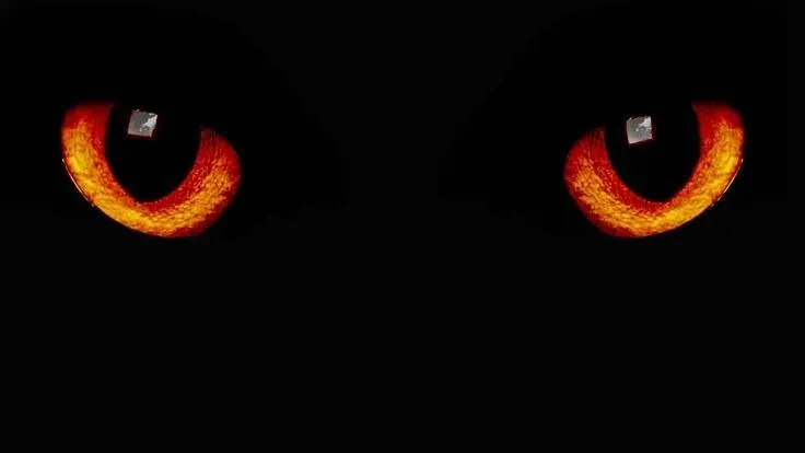OnlyFans cuenta latinfrom header 2