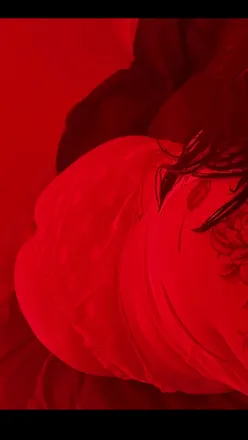 OnlyFans cuenta vc_sweetprincess header 2
