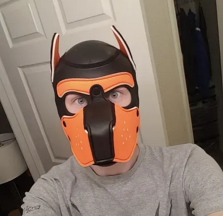 OnlyFans account  rainbow_pup avatar 1