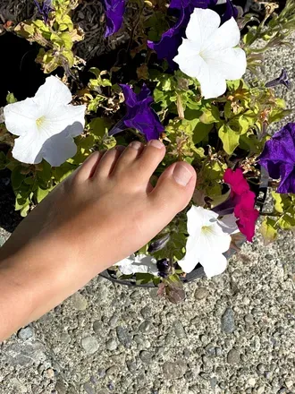 OnlyFans cuenta webbedfeetbabe avatar 1
