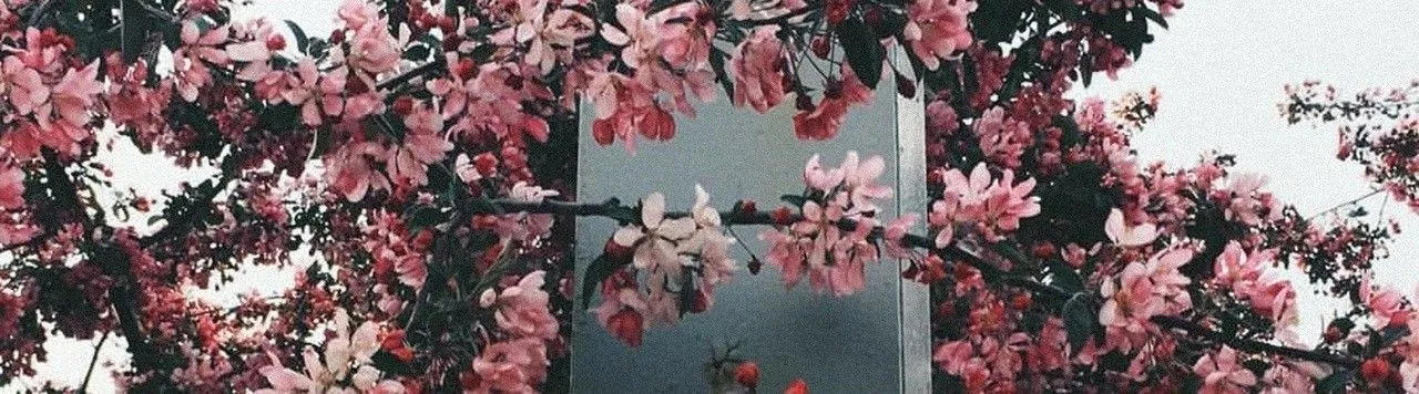 OnlyFans account  miley_b header 2