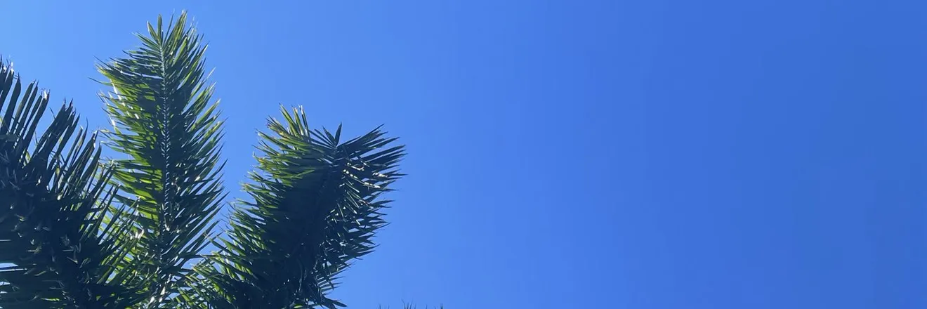 OnlyFans cuenta jakex317 header 2