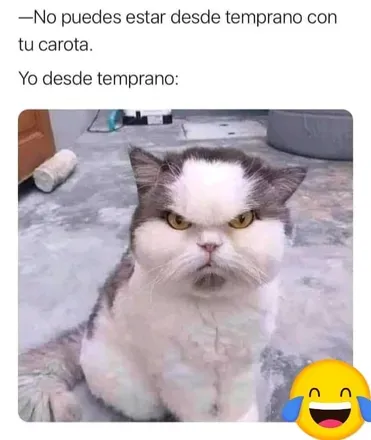 OnlyFans cuenta dulcearrieta avatar 1