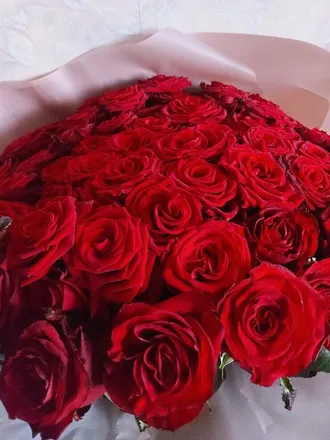 OnlyFans cuenta u547023779 header 2