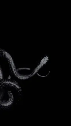 OnlyFans cuenta ursnakegoddess header 2