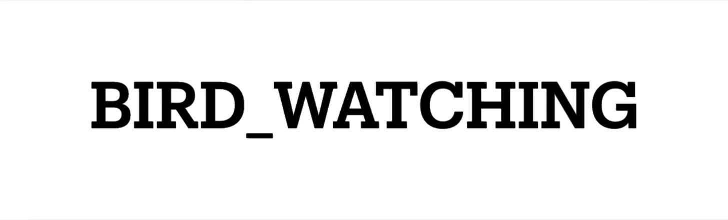 OnlyFans cuenta bird_watching header 2