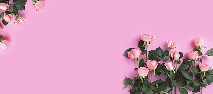 OnlyFans cuenta rosie_hush header 2