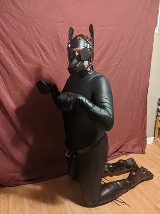 OnlyFans cuenta horsin_around avatar 1
