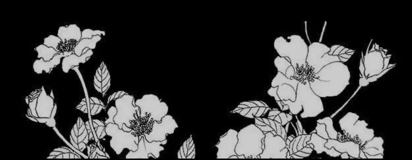 OnlyFans cuenta masonmarley header 2