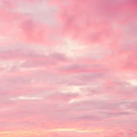 OnlyFans cuenta beaniebaby333 header 2