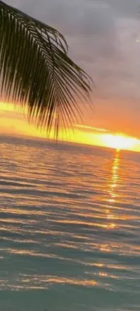 OnlyFans cuenta tata_scapini header 2