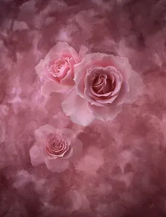 OnlyFans cuenta noellethedancer header 2