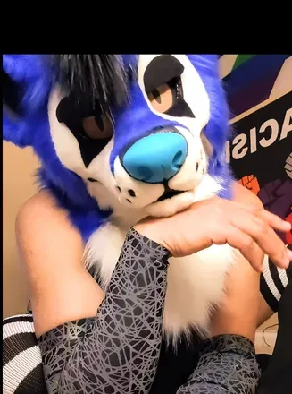 OnlyFans cuenta subbyfolf932 avatar 1