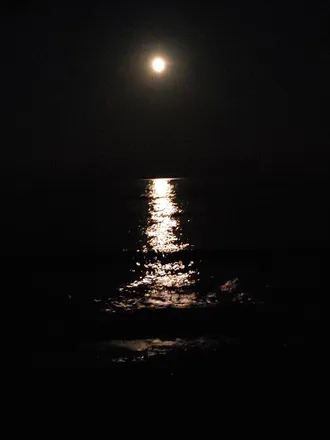 OnlyFans account  moonlightjayy header 2