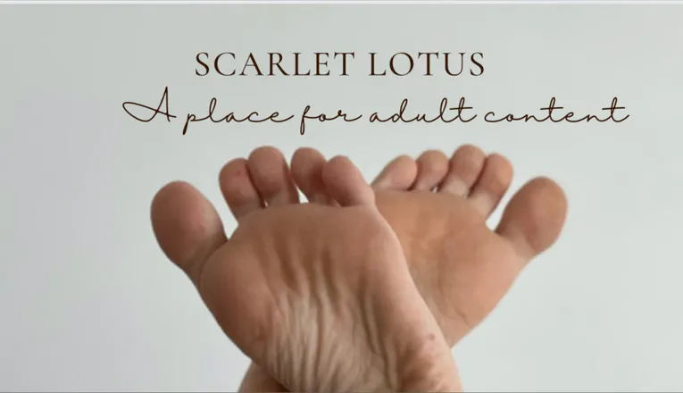 OnlyFans cuenta scarlet.lotus header 2