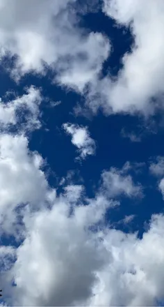 OnlyFans cuenta msbabycakes01 header 2