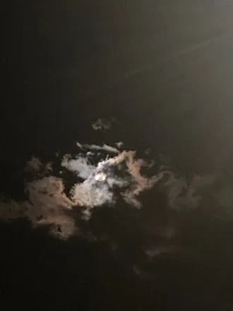 OnlyFans cuenta stoner-bbw header 2