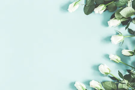 OnlyFans cuenta shvymndz header 2