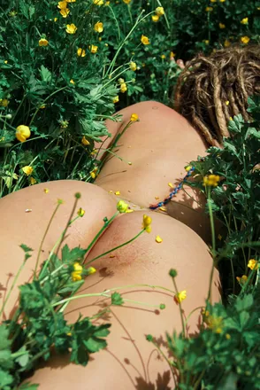 OnlyFans cuenta lilllsunflowerrr header 2