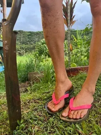 OnlyFans cuenta filthy_farm_feet avatar 1