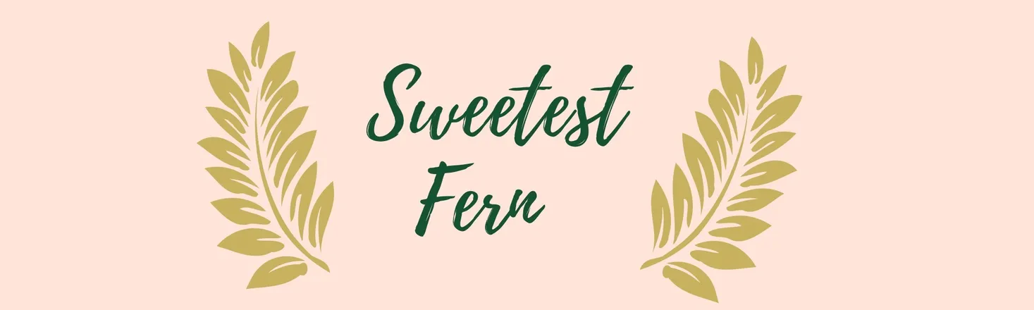 OnlyFans cuenta sweetestfern header 2