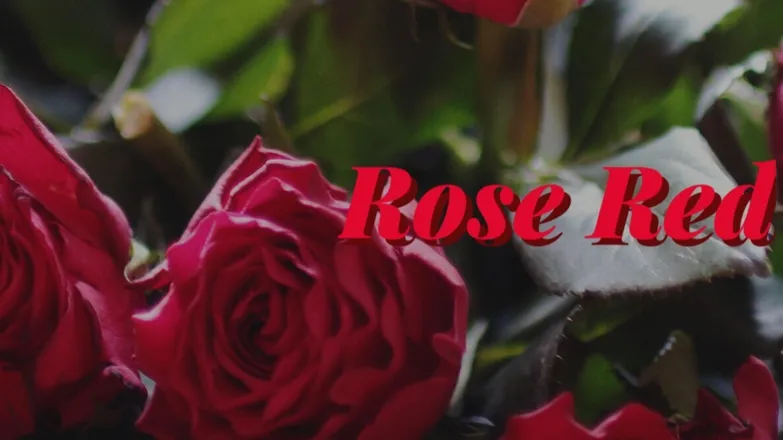 OnlyFans cuenta deep.rose.red header 2