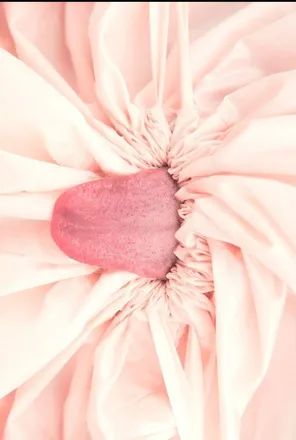 OnlyFans cuenta tuttufrutti header 2