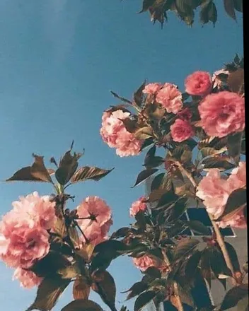 OnlyFans cuenta fattycockforyou header 2