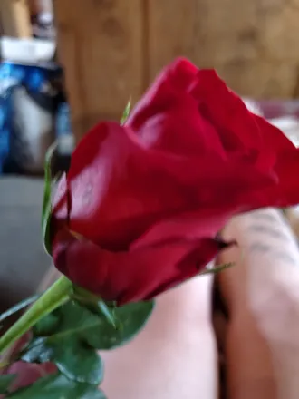 OnlyFans cuenta erotikstoriesandmore header 2
