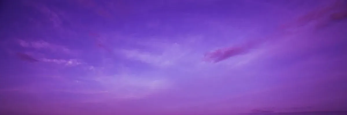 OnlyFans cuenta baresoledbunny header 2