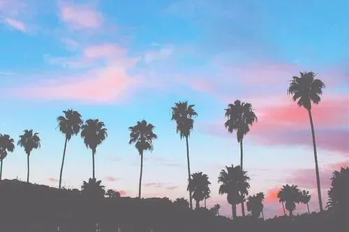OnlyFans cuenta emmasunflowerx header 2