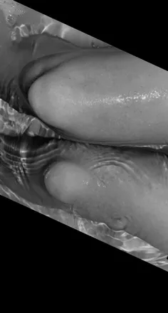 OnlyFans cuenta oceaneyessxx header 2