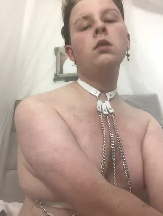 OnlyFans account  digsopup avatar 1