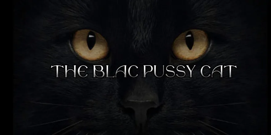 OnlyFans account  theblacpussycat header 2