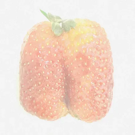 OnlyFans cuenta sssvckerpvnch avatar 1