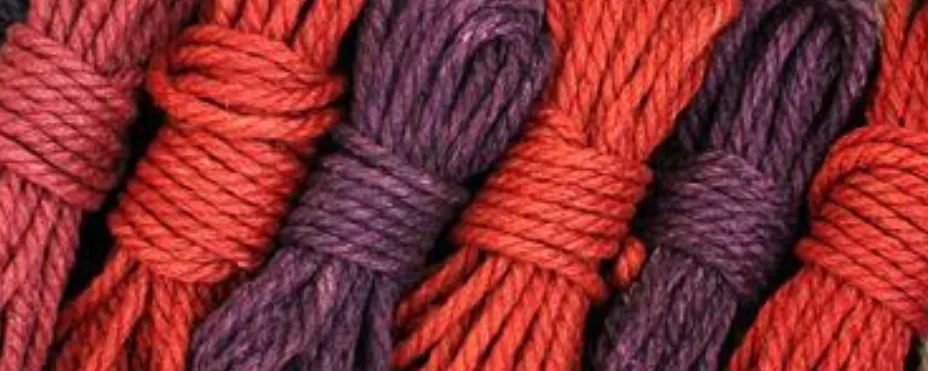 OnlyFans cuenta dylansnuts header 2