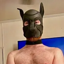 OnlyFans cuenta pupbrahms avatar 1