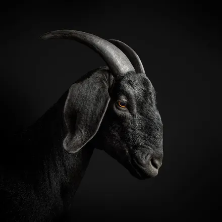 OnlyFans cuenta thagoat04 header 2