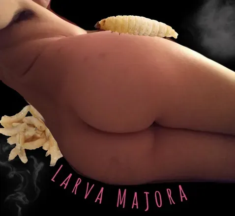 OnlyFans cuenta larvamajora header 2