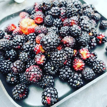 OnlyFans cuenta kberries header 2