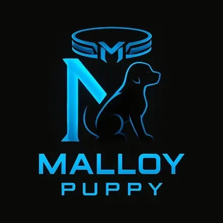 OnlyFans cuenta malloy_chavstyle avatar 1