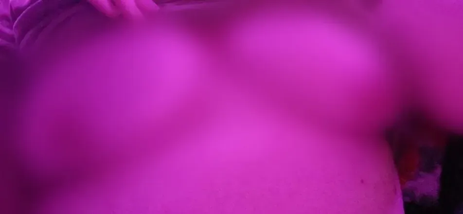 OnlyFans cuenta kaispaceuwu avatar 1