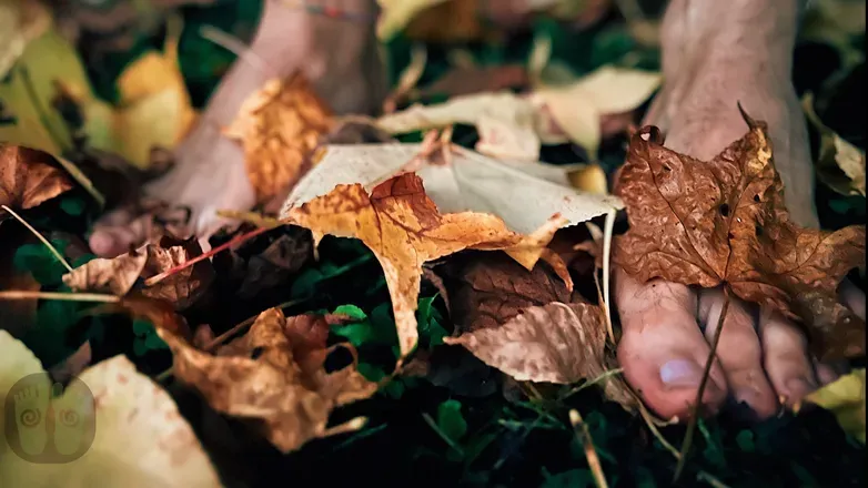 OnlyFans cuenta feetintrees header 2
