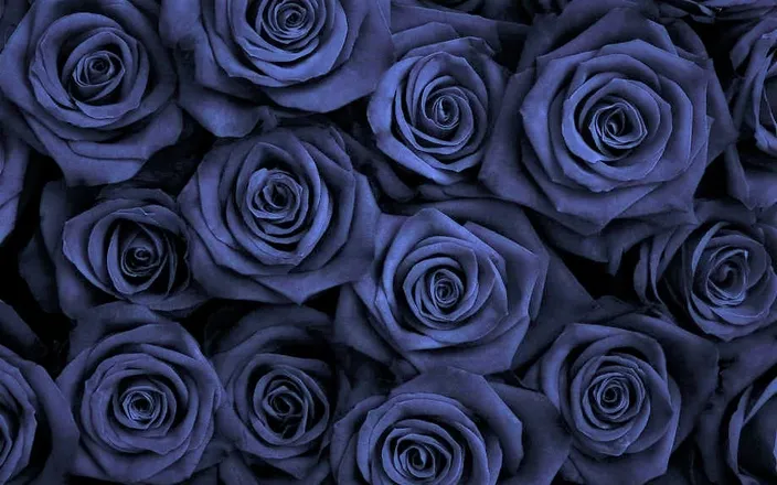 OnlyFans account  luna_auryn_free header 1