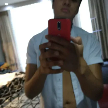 OnlyFans cuenta volibearotp avatar 1