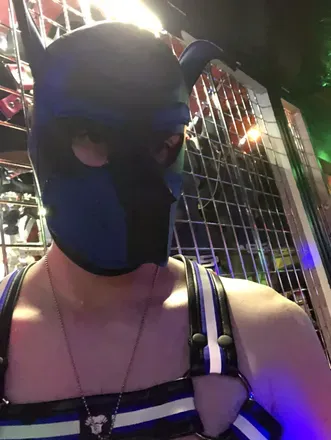 OnlyFans cuenta pupbuoy avatar 1