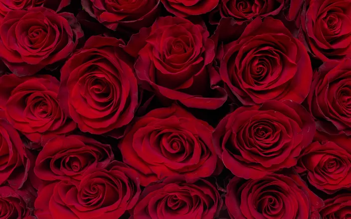 OnlyFans cuenta ssexyssecret header 2
