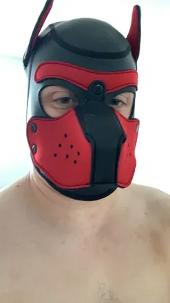 OnlyFans cuenta pupfondue avatar 1