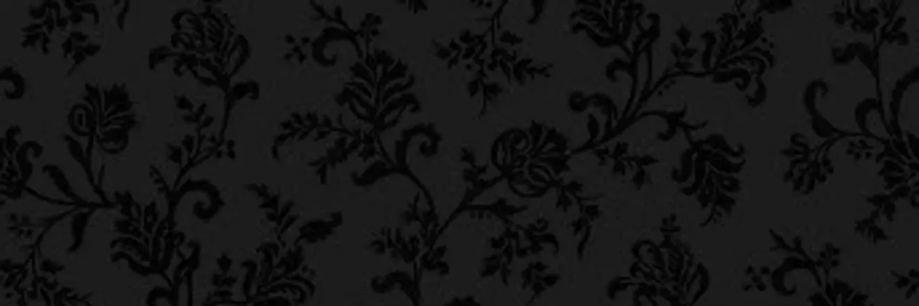 OnlyFans cuenta tsjadex header 2