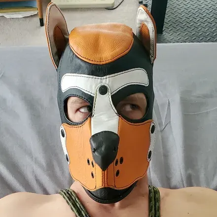 OnlyFans account  pupxoloxxx avatar 1